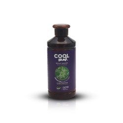COOL max Vegan 400 ml Isırgan özlü bitkisel şampuan 2 Adet